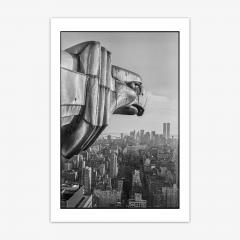 Gargoyles of Gotham Photograph by Don Hamerman - 4225047