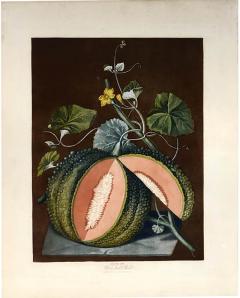 George Brookshaw A Pair of Melons - 764259