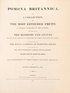George Brookshaw Pomona Britannica or a collection of the most esteemed fruits by BROOKSHAW - 3655582