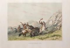 George Catlin GEORGE CATLIN 1794 1872 ATTACKING THE GRIZZLY BEAR NO 19 - 2904132