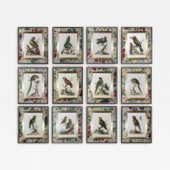 George Edwards George Edwards Prints of Parrots with Decoupage Frames Set of Twelve - 2301527
