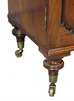 George III Mahogany Collectors Cabinet - 3787044