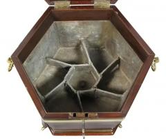 George III Mahogany and Brass Mounted Celleret - 4129752