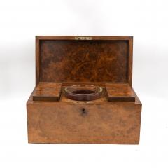 George III Yew Wood Tea Caddy English circa 1800 - 3976852