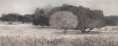 George Tzannes Olive Grove 2010 - 3814617