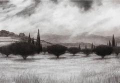 George Tzannes Olive Grove with Cypress Trees Charcoal Drawing Greece Island Black White - 3816723