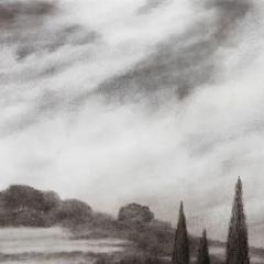 George Tzannes Olive Grove with Cypress Trees Charcoal Drawing Greece Island Black White - 3816783