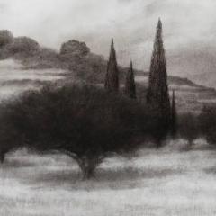 George Tzannes Olive Grove with Cypress Trees Charcoal Drawing Greece Island Black White - 3816784
