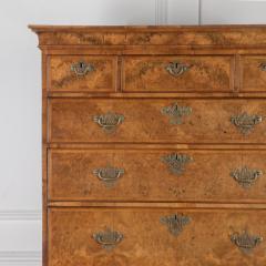 Georgian Burr Walnut Chest on Chest - 3628206