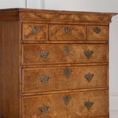 Georgian Burr Walnut Chest on Chest - 3628305