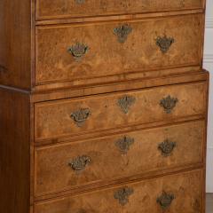 Georgian Burr Walnut Chest on Chest - 3628312