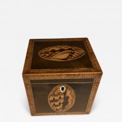 Georgian Period Harewood Tea Caddy - 2552491