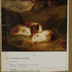 Georgian Woolwork Embroidered Picture of Guinea Pigs - 3171241