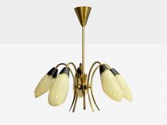 German Modern Five Light Chandelier Brass Metal Glass Germany 1950s - 4802514
