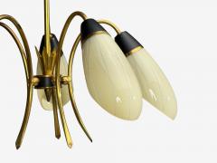 German Modern Five Light Chandelier Brass Metal Glass Germany 1950s - 4802516