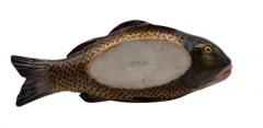 German Porcelain Fish Form Box - 4134213