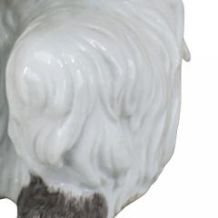 German Porcelain Terrier Dog - 4407916