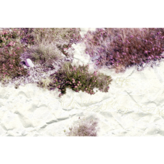 Gianfranco Pezzot VIII The Unselfconsciousness Of Eros Abstract Photography 2017 - 4010614
