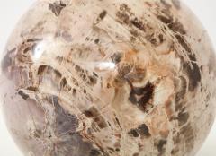 Giant Polished Petrified Wood Sphere  - 1138532