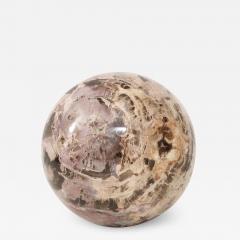 Giant Polished Petrified Wood Sphere  - 1139060