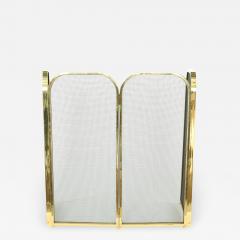 Gilt Brass Framed Black Mesh Fire Place Screen - 1966826