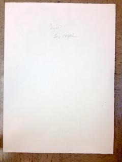 Gina Werfel Night - 1374655