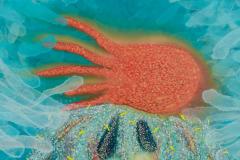 Giorgi Kavelashvili No Chaos No Piece - 4546278