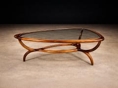 Giuseppe Scapinelli Egg Coffee Table in Caviuna Wood Glass by Giuseppe Scapinelli Brazil 1950s - 4473568