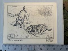 Gladys Emerson Cook Two Dogs Playing Scottish Terrier Woman Illustrator of the Golden Age Animalier - 4148004