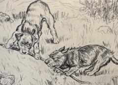 Gladys Emerson Cook Two Dogs Playing Scottish Terrier Woman Illustrator of the Golden Age Animalier - 4148005