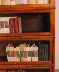 Globe Wernicke Bookcase In Mahogany Of 4 Elements - 3511975