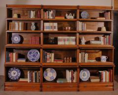 Globe Wernicke Waterfall Bookcase In Light Oak 19th Century - 3908309