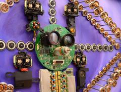 Goga Gomareli Evolution - 4384173