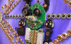 Goga Gomareli Evolution - 4384174