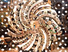 Goga Gomareli Evolution - 4384180