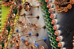 Goga Gomareli Expwctation - 4384240