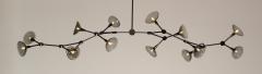 Gordon Auchincloss The Elsa 14 Dimmable LED Chandelier - 1958147