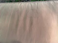 Gorgeous Swaim Neoclassical Chaise Lounge - 4429021