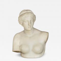Grand Tour Marble Bust Venus de Milo after Antiquity - 4419107