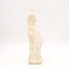 Grand Tour Marble Carving of the Venus de Milo France circa 1890 - 3956045