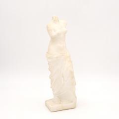 Grand Tour Marble Carving of the Venus de Milo France circa 1890 - 3956046