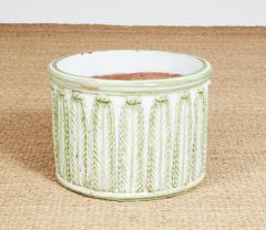 Green and White Fern Leaf Planter - 3918901