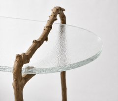 Gregory Nangle Alder Branch Ice Coffee Table by Gregory Nangle - 4776167