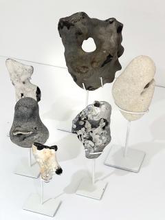 Group of Mounted Natural Sea Stone Specimens from Denmark - 2822232