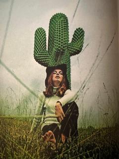 Guido Drocco 1st Edition Cactus Coat Rack by Guido Drocco Franco Mello for Gufram 1960s - 3352063