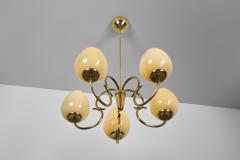 Gunnel Nyman Model 51132 5 Chandelier by Gunnel Nyman for Idman Finland Mid 20th Century - 4374719