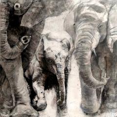 Guusje Bertholet Earthlings - 4742093