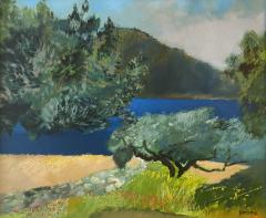 Guy Bardone Oliviers Karpathos - 4298096