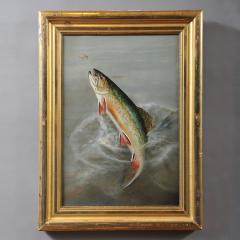 HARRY DRISCOLE JUMPING TROUT - 1361437