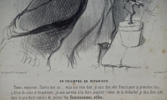 HONOR DAUMIER 19th Century Daumier Satirical Lithograph Triumph of the Botanist  - 2694545